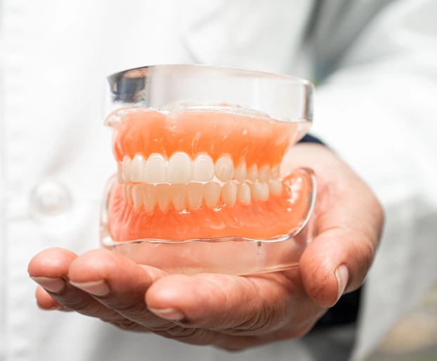 Profesional dental sosteniendo una dentadura postiza completa, superior e inferior, con ambas manos.